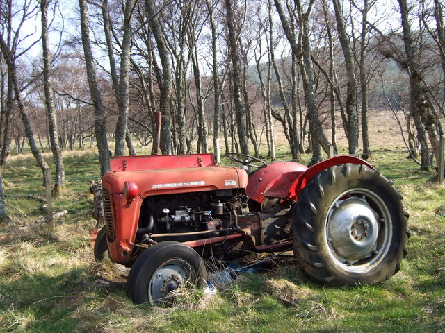 A compact tractor in a field.