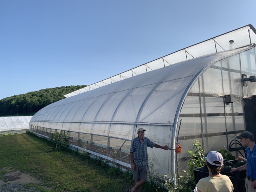 Greenhouse with raised side openings and an open roof vent.